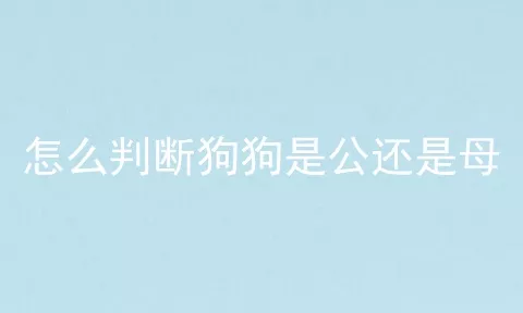 怎么判断狗狗是公还是母