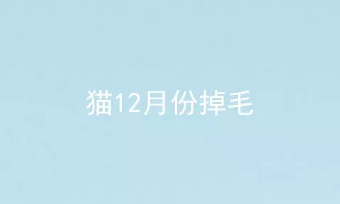 猫12月份掉毛