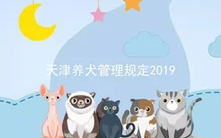天津养犬管理规定2019
