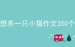 我想养一只小猫作文350个字