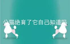 公猫绝育了它自己知道吗