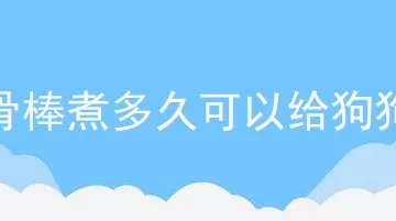 牛骨棒煮多久可以给狗狗吃