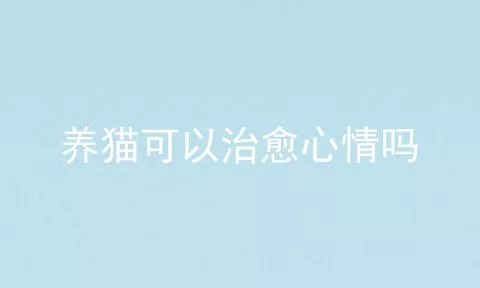 养猫可以治愈心情吗