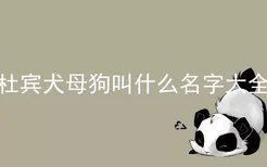 杜宾犬母狗叫什么名字大全