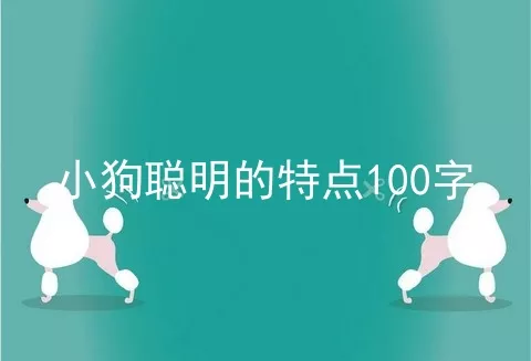 小狗聪明的特点100字