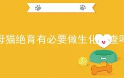 母猫绝育有必要做生化检查吗