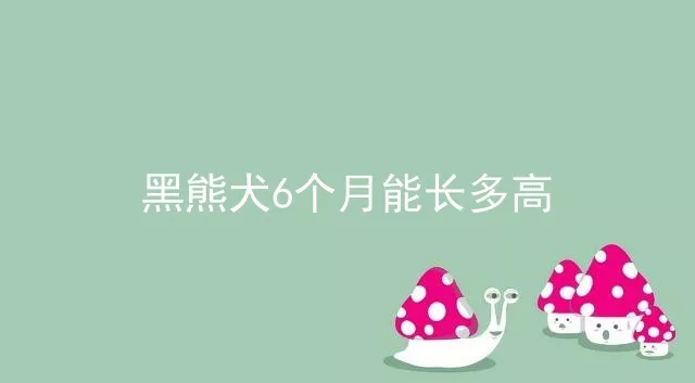 黑熊犬6个月能长多高