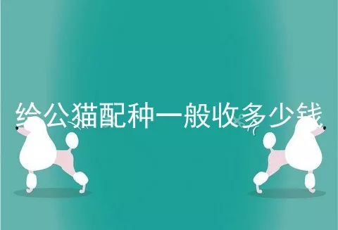 给公猫配种一般收多少钱