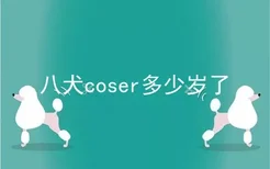 八犬coser多少岁了