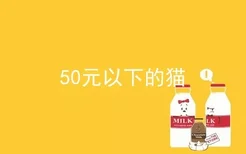 50元以下的猫