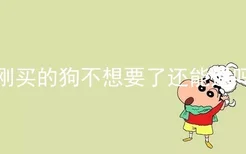 刚买的狗不想要了还能退吗