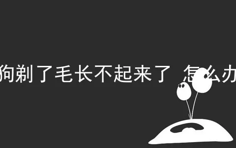 狗剃了毛长不起来了 怎么办