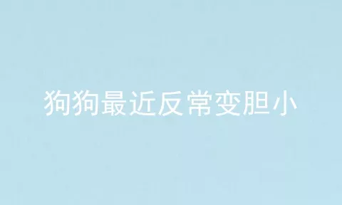 狗狗最近反常变胆小