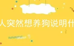 男人突然想养狗说明什么