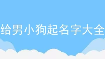 给男小狗起名字大全