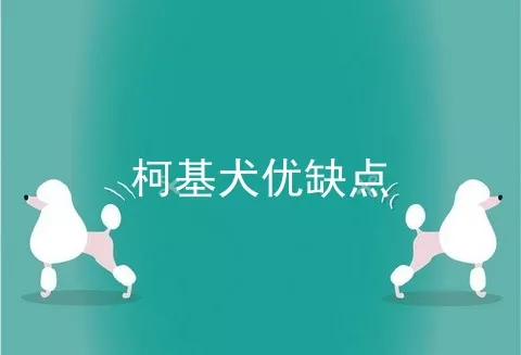 柯基犬优缺点