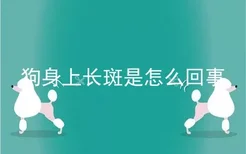 狗身上长斑是怎么回事