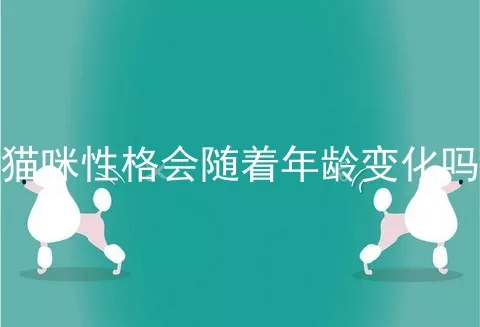 猫咪性格会随着年龄变化吗