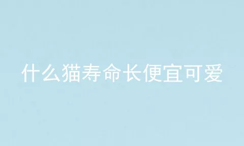 什么猫寿命长便宜可爱