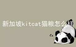 新加坡kitcat猫粮怎么样