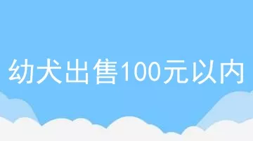 幼犬出售100元以内