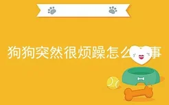 狗狗突然很烦躁怎么回事