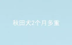 秋田犬2个月多重