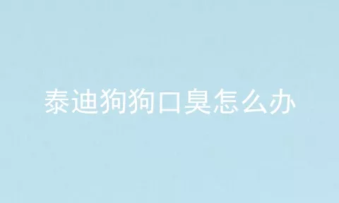 泰迪狗狗口臭怎么办