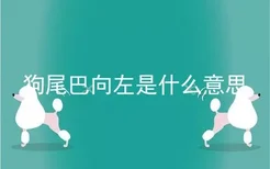 狗尾巴向左是什么意思