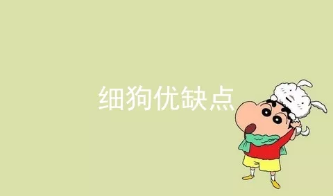 细狗优缺点