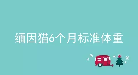 缅因猫6个月标准体重