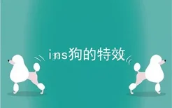 ins狗的特效