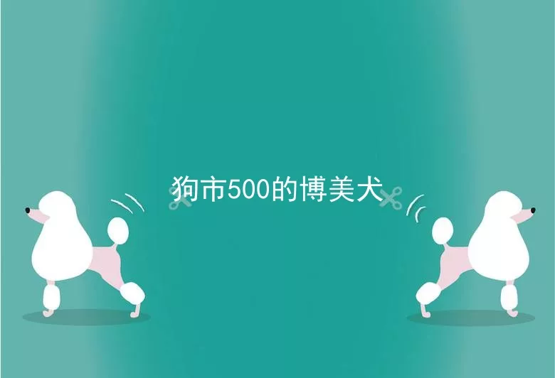 狗市500的博美犬