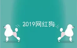 2019网红狗