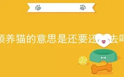 领养猫的意思是还要还回去吗