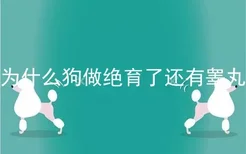 为什么狗做绝育了还有睾丸