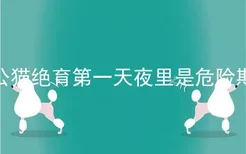 公猫绝育第一天夜里是危险期