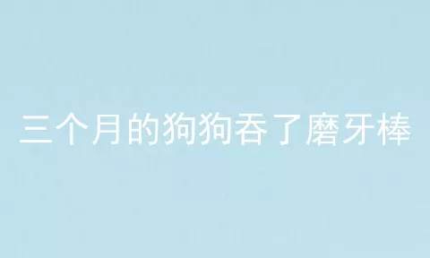 三个月的狗狗吞了磨牙棒