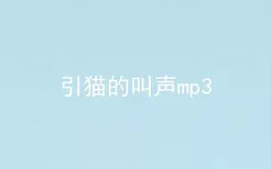 引猫的叫声mp3