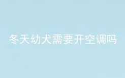 冬天幼犬需要开空调吗