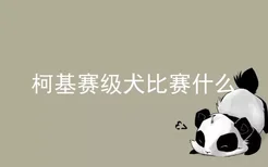 柯基赛级犬比赛什么