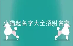 小猫起名字大全招财名字