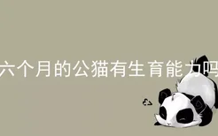 六个月的公猫有生育能力吗