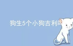 狗生5个小狗吉利吗