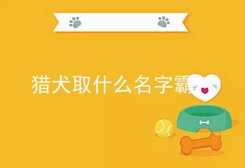 猎犬取什么名字霸气