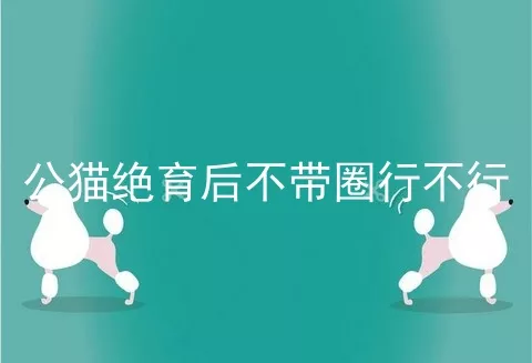 公猫绝育后不带圈行不行