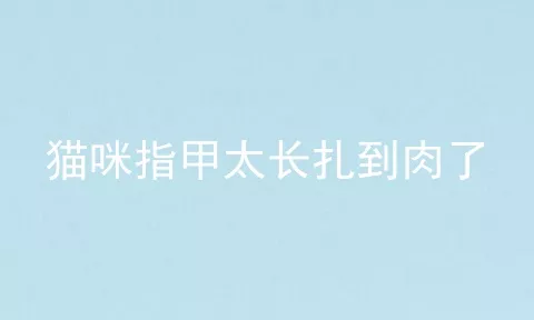 猫咪指甲太长扎到肉了