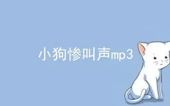 小狗惨叫声mp3