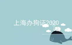 上海办狗证2020