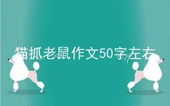 猫抓老鼠作文50字左右